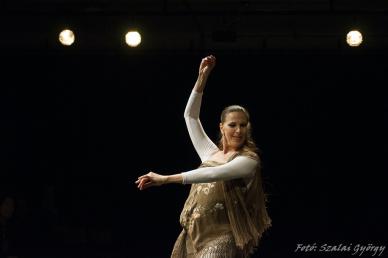 MaloM FlamenCorazArte 141004-96
